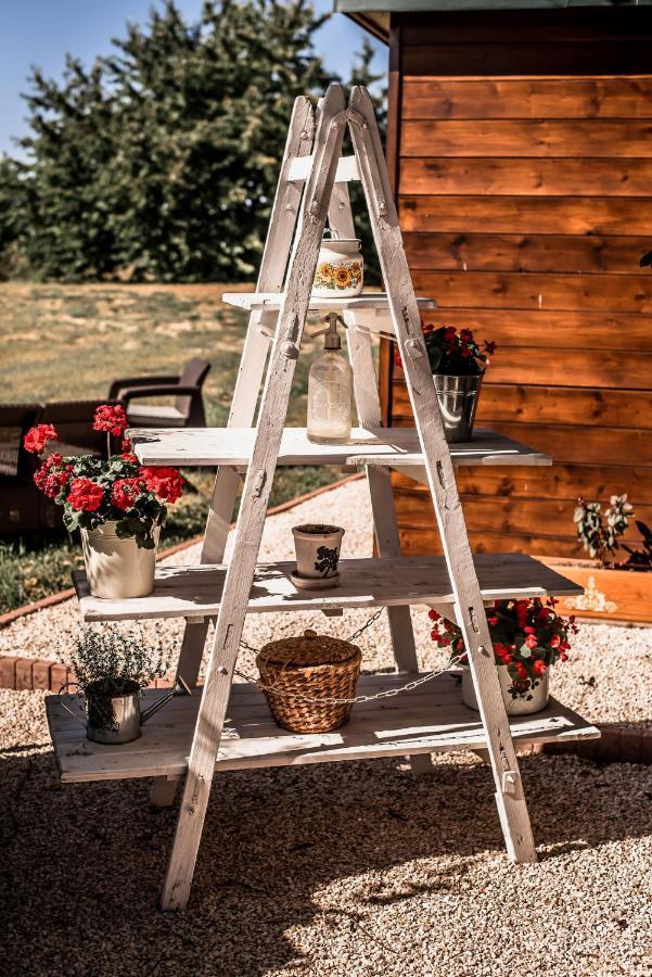 Nefelejcs Vendégház Toalmas Extérieur photo