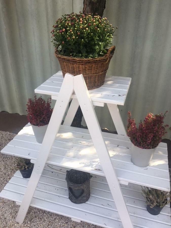Nefelejcs Vendégház Toalmas Extérieur photo